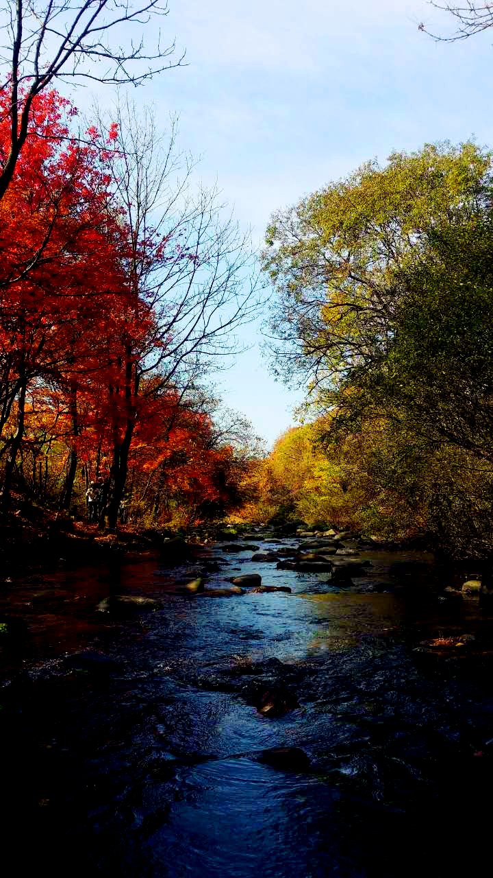 韩国日本一卡二卡3卡4卡网站