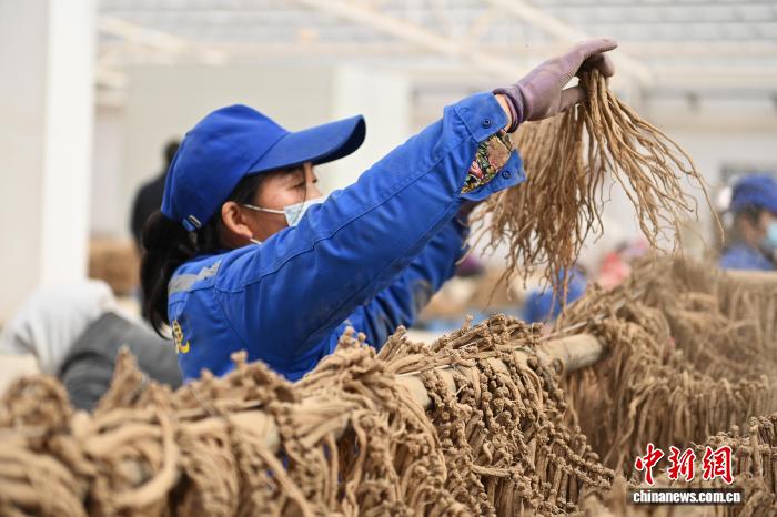 万里长征黑料不打烊传送门海报