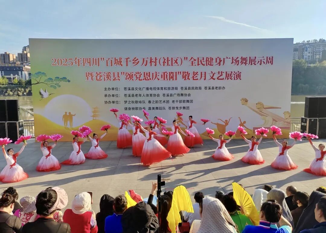 风车 风车在无风的风车日子里海报