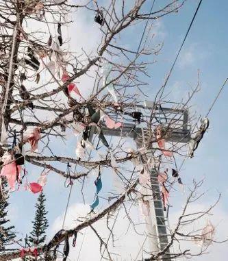 尤物视频188.永不失联海报